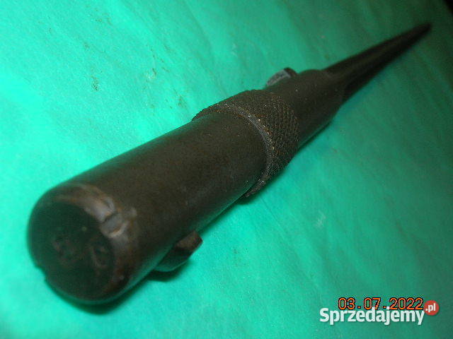 Bagnet francuski kolec Łódź