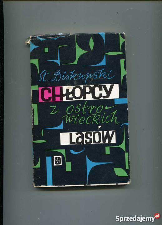 Chłopcy z Ostrowieckich lasów Książki naukowe i popularnonaukowe Szczecin sprzedam