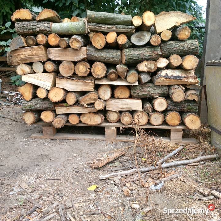 Drewno opałowe debina