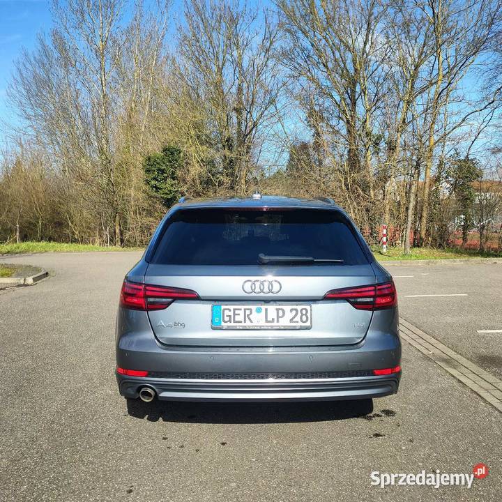A4 B9 20 TDI 150 SLine Brzeźnik