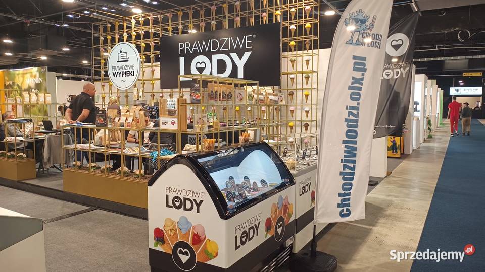 NOWA zamrażarka do lodów nadstawka 4 kuwety Łódź