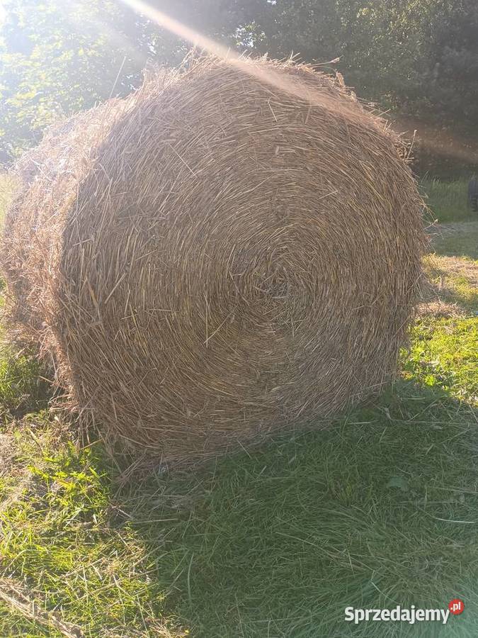 Słoma Żytnia Dąbrowa Białostocka