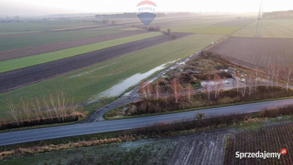 Działka inwestycyjna Przemysł 29ha Borek Wielkopolski sprzedam