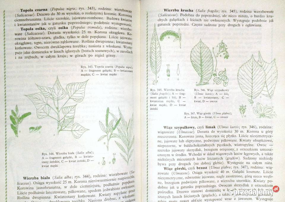 Biologia kl 1 LO M Podbielkowska Z Podbielkowski Chełm