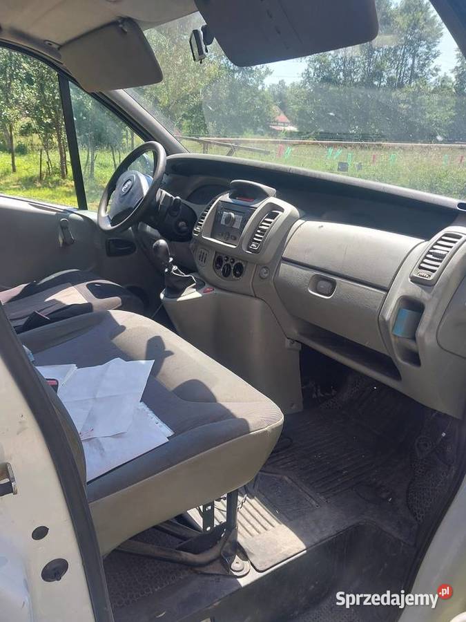 Vivaro dolnośląskie Kłodzko