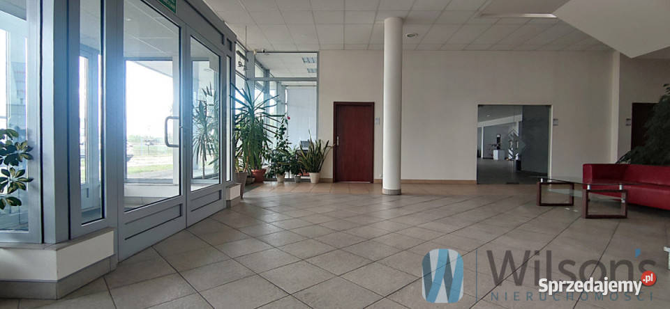 Lokal 3041m2 Czosnów