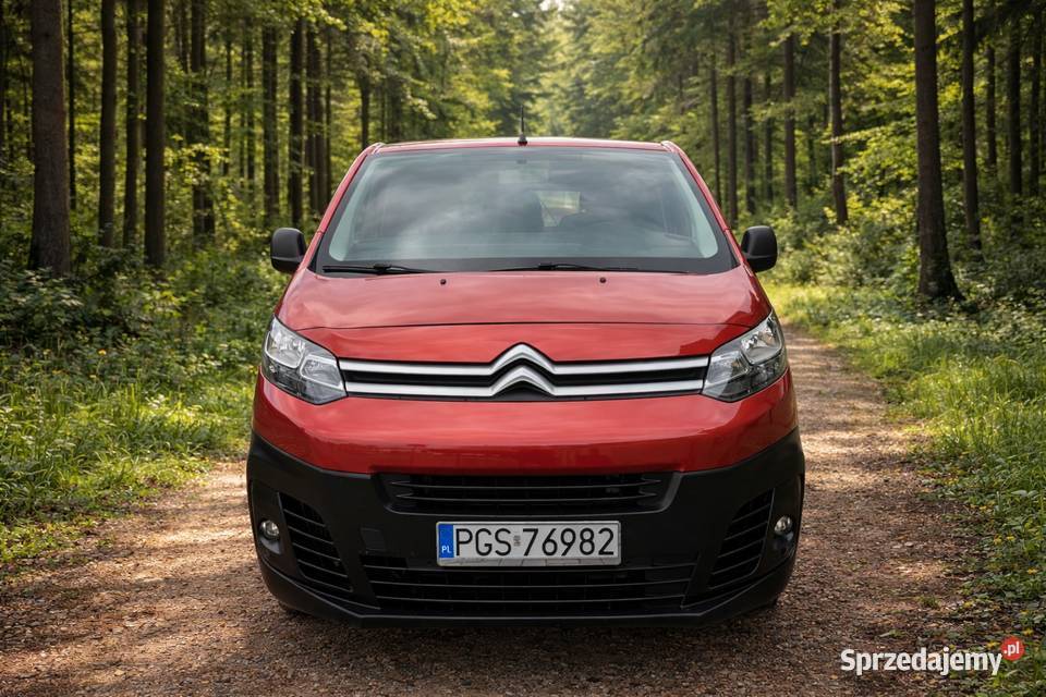 Citroen Jumpy 3 brygadowka wielkopolskie Krobia sprzedam