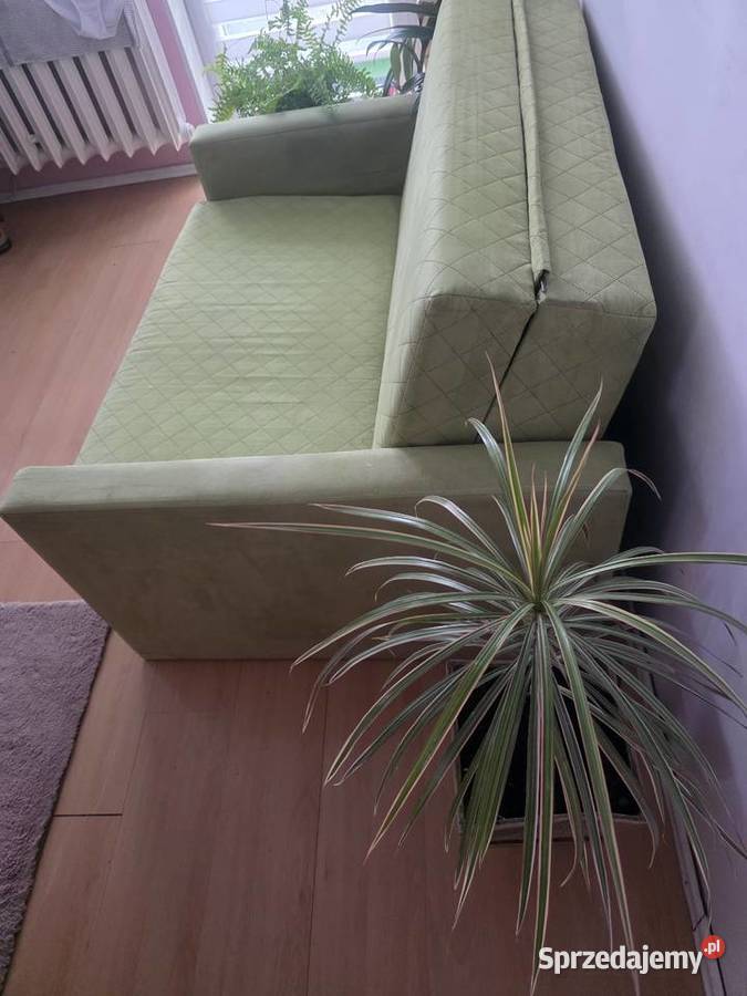 stół i krzesła plus sofa