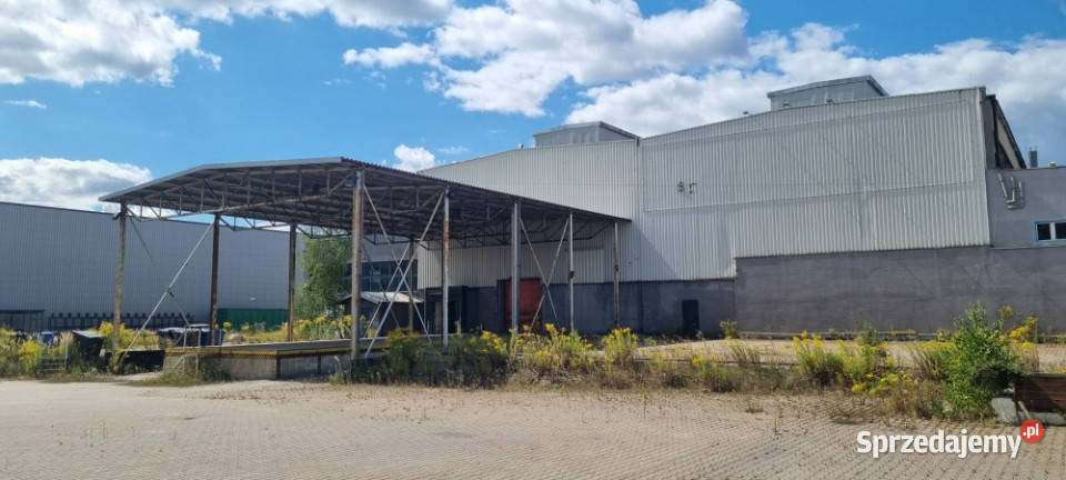 Syndyk sprzeda przedsiębiorstwo w Tychach