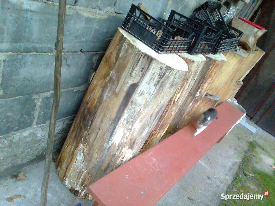 topola plastry monolit Gierałtowiczki