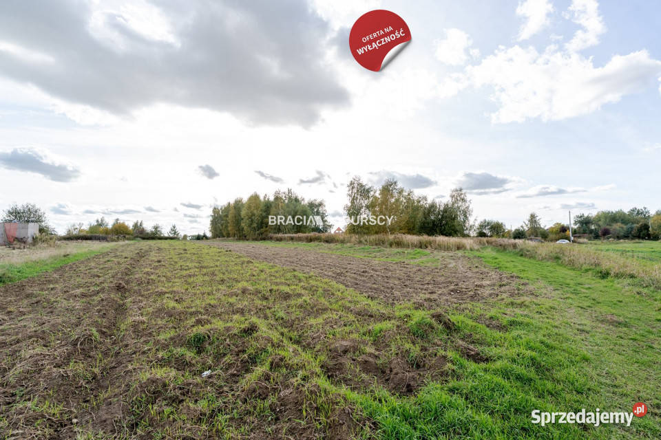 Grunt 2500m2 Cholerzyn