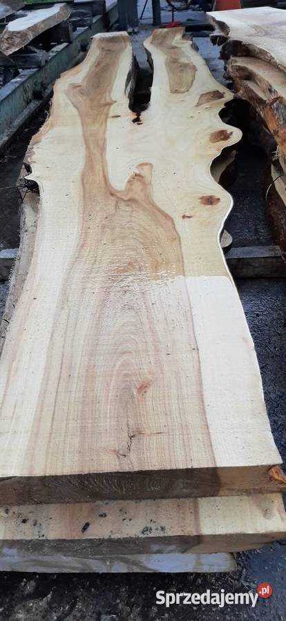 Wiąz deski bale brusy wiązu Pozostałe Rzeszów