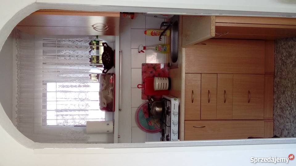 Działka rekreacyjna ROD Sierosław IV Sierosław