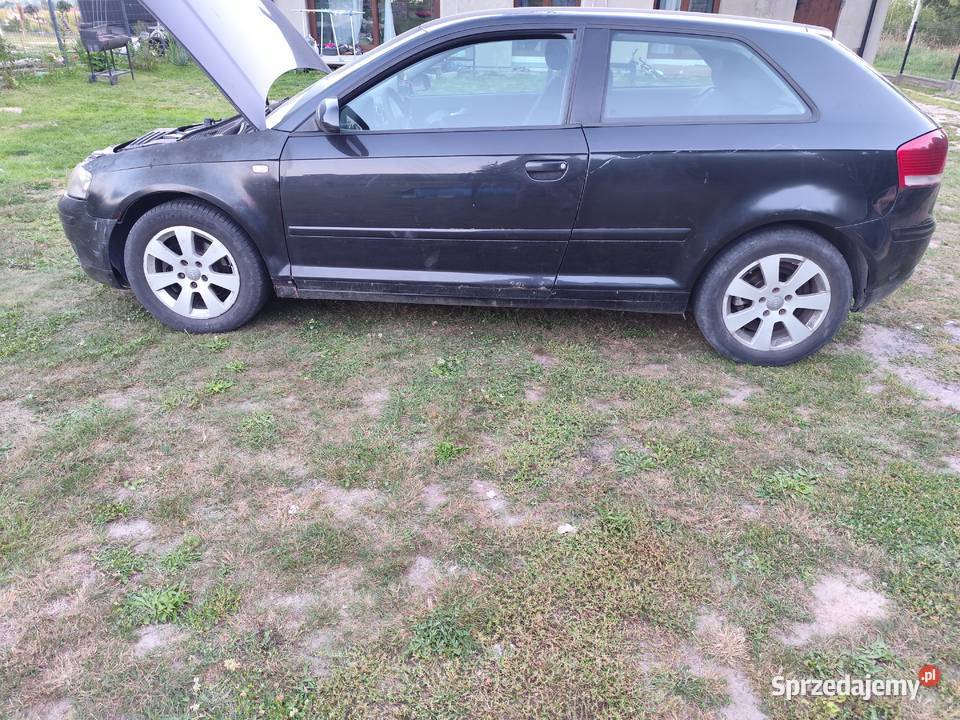 Audi a3 8p 19 silnik skrzynia inne Strawczyn
