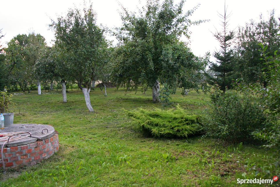 Dom z zabudowanym poddaszem sprzedam ogródek Borów Wielki sprzedam