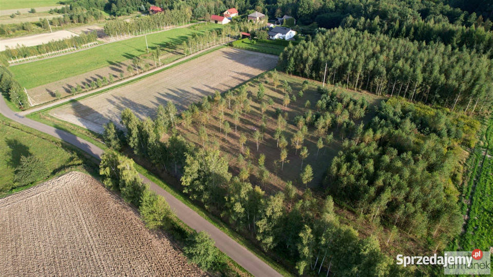 Działka 4775m2 Błażkowa