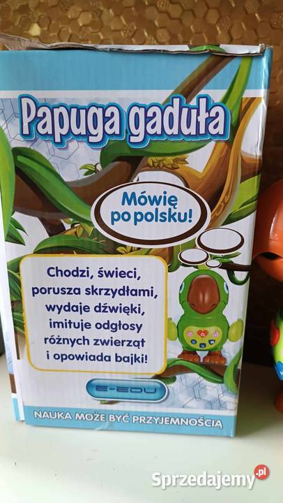 Papuga gaduła zabawka edukacyjna Warszawa