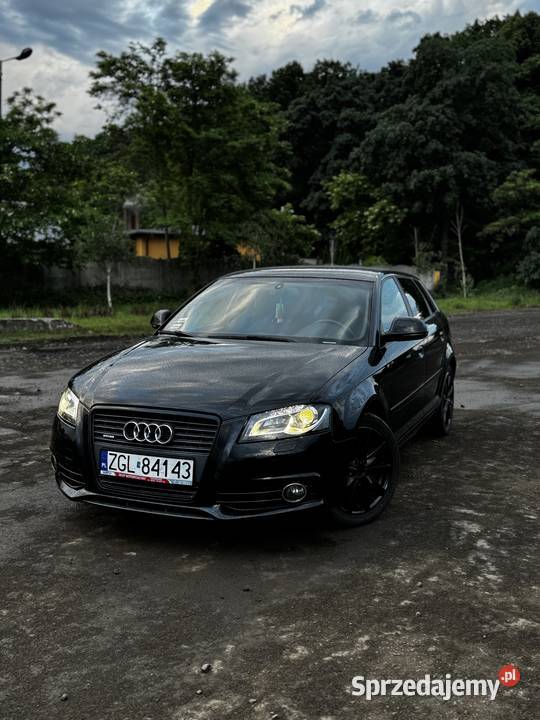 Audi A3 8P 20 TDI 170 Quattro 2009 170 000 1968cm3