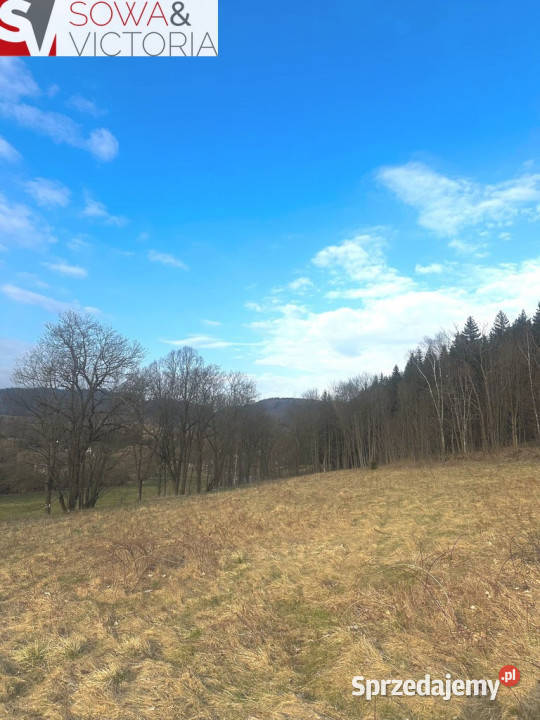 Ciekawe działki pod lasem w Leszczyńcu Sprzedaż dolnośląskie Leszczyniec