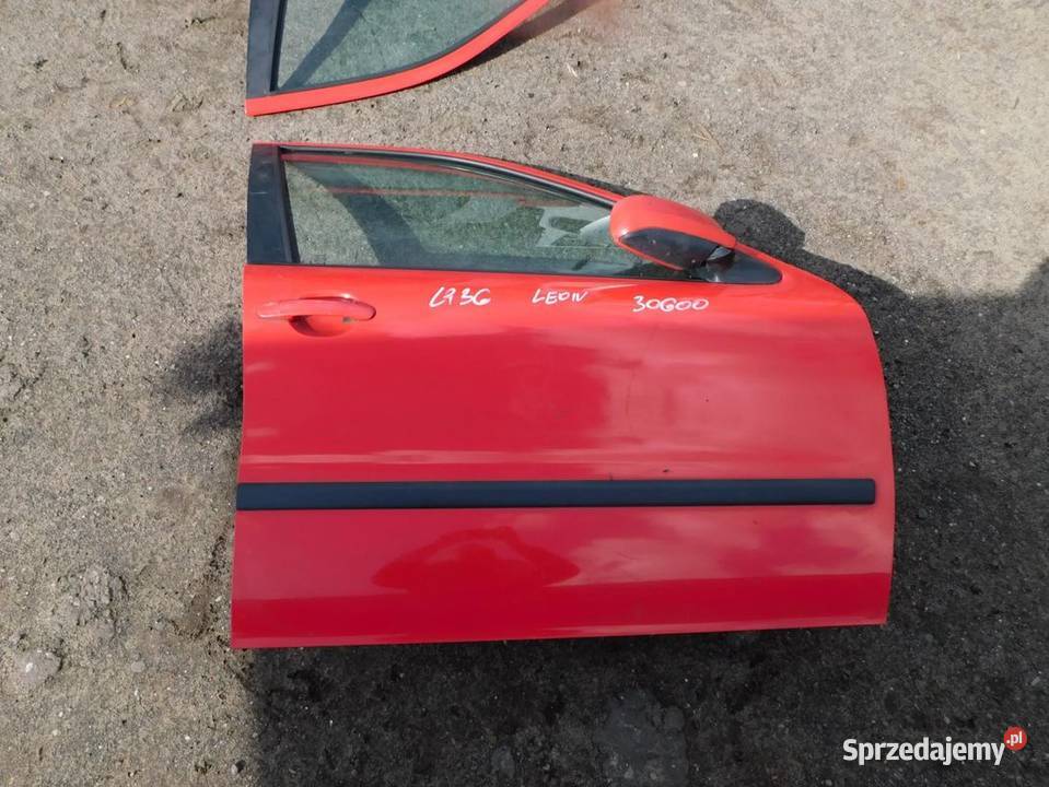 leon drzwi kolor LP3G 30600 WYSYŁKA śląskie Żory