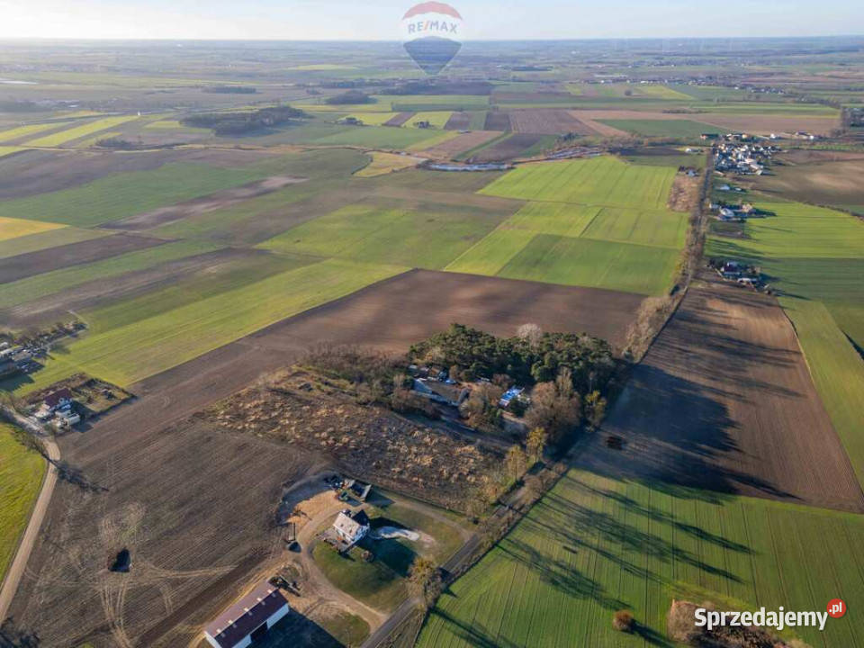 Działka budowlana 20 min Poznania A2 Buk 56m