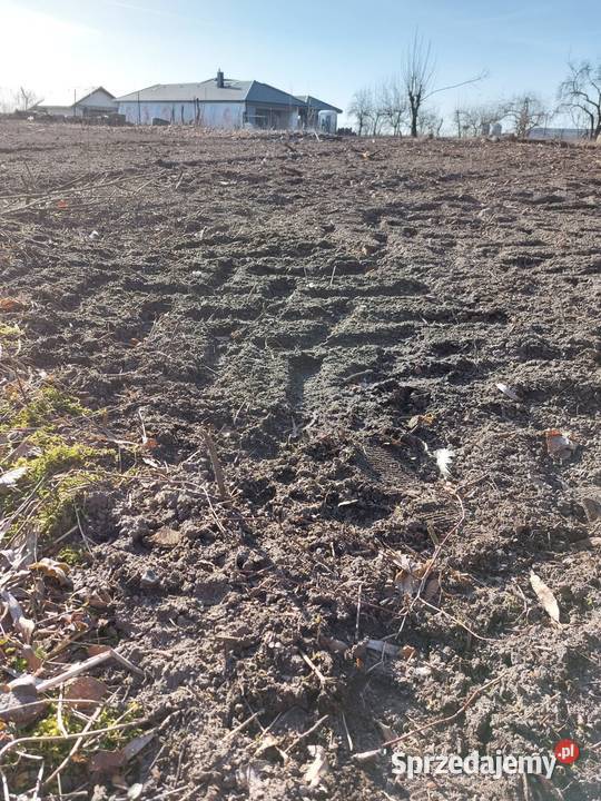 Sprzedam działkę Wrocławia 22 ary Rogoż budowlana Sprzedaż