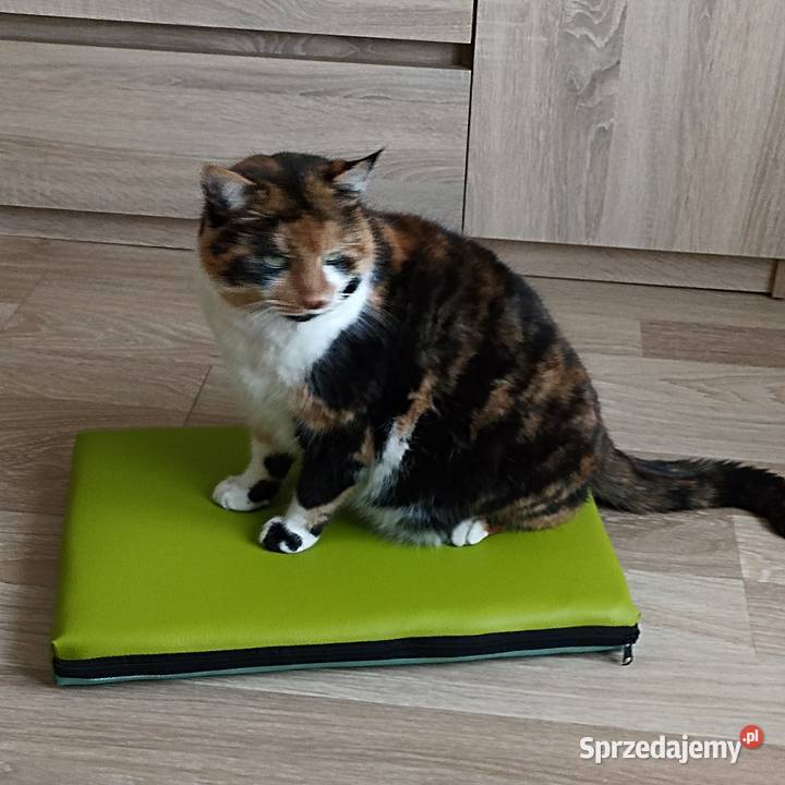 LEGOWISKO MATERAC dwustronne PSA KOTA 90x60x6 Łapy sprzedam