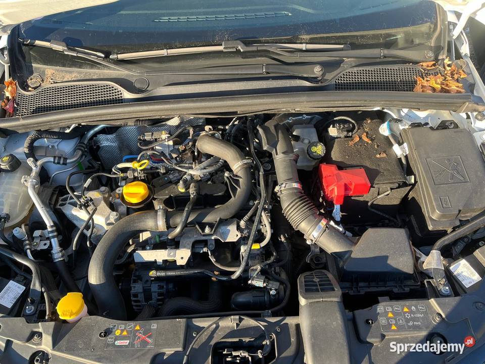 RENAULT Clio V 10i TCe 90 Business GE034 biały pomorskie Gdańsk