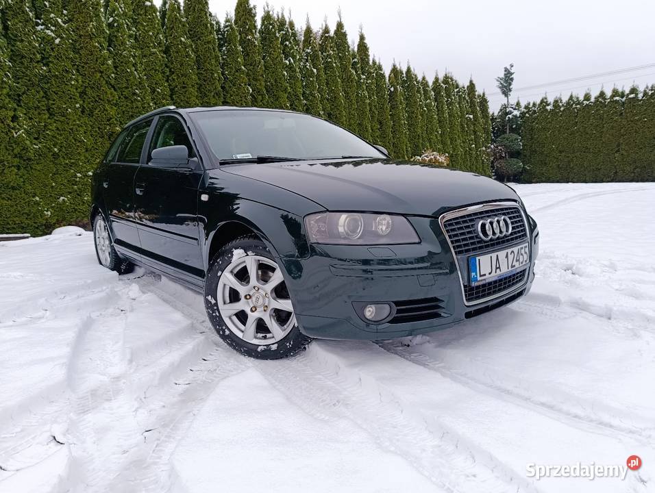Sprzedam Audi A3 8P Sportback 20 TDI 140 zielony lubelskie Janów Lubelski