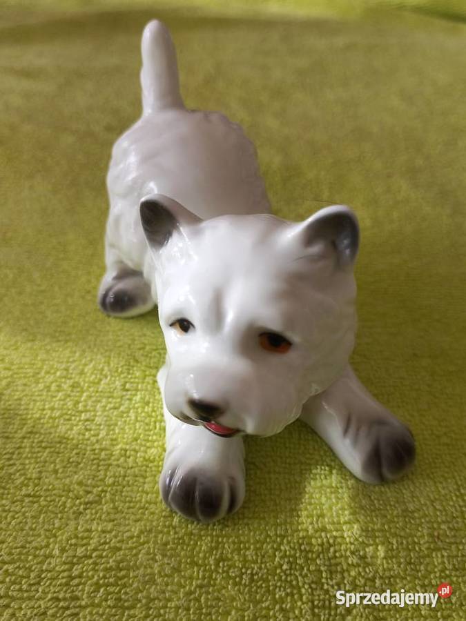 Figurka porcelanowa piesek Westie Toruń