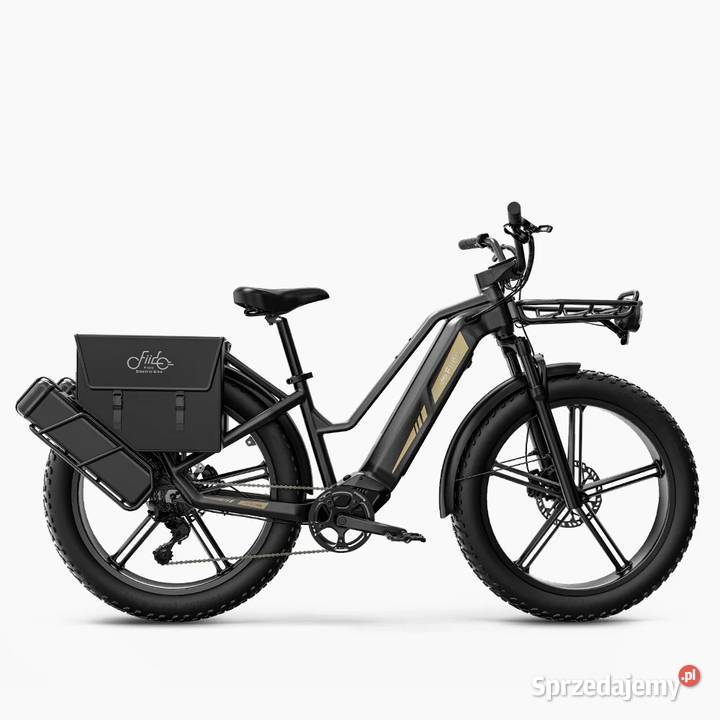 Fiido TITAN 2025 solidny niezastąpiony 55Nm 250W Elektryczne