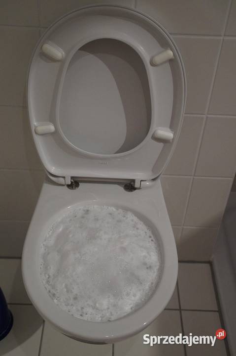 Przepchanie toalety Muchobór Nowy Dwór Ołtaszyn Wrocław