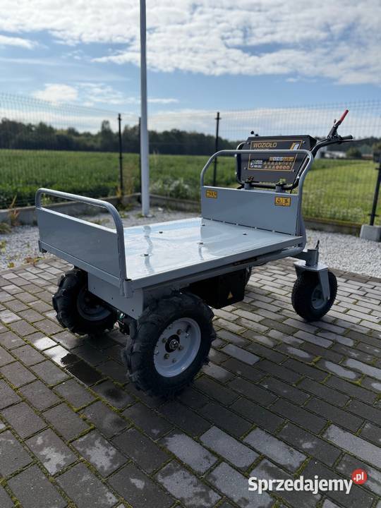 Wyprzedaż 2024 taczka elektryczna NEX 500 Garden