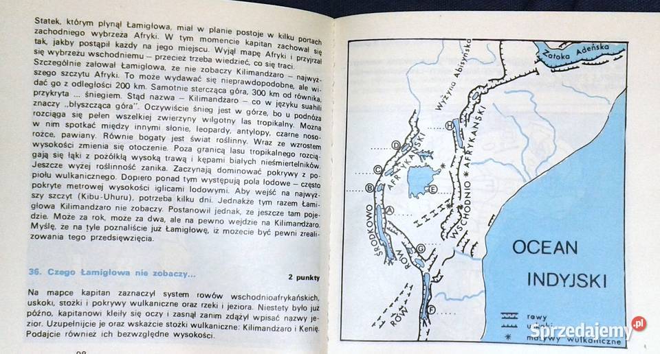 Wyprawa kapitana Łamigłowy w krainę geografii Chełm
