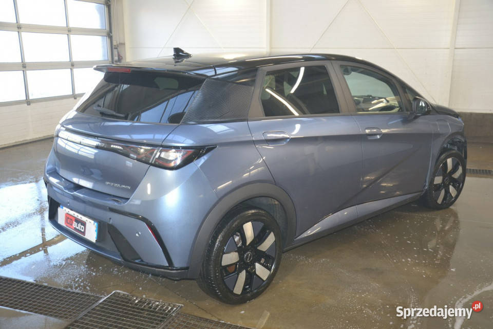 BYD Dolphin full elektryk tablet automat ledy lakier metallic Kęty