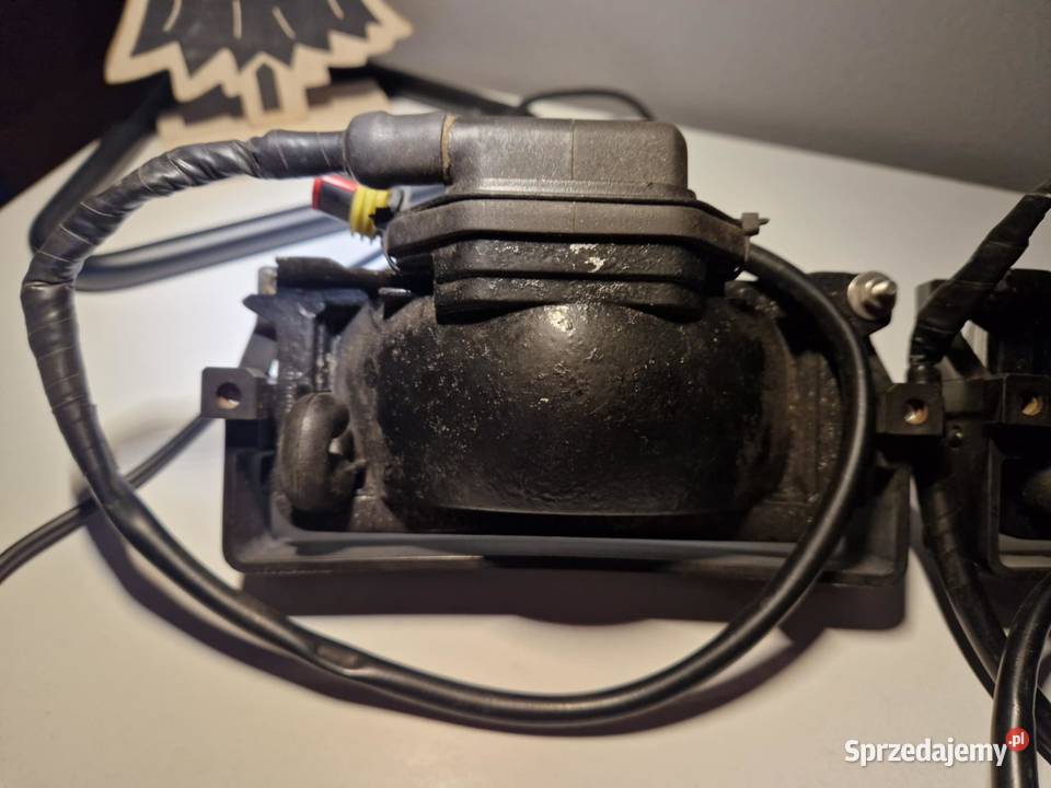 Halogeny Seicento Sporting Mokrzyska