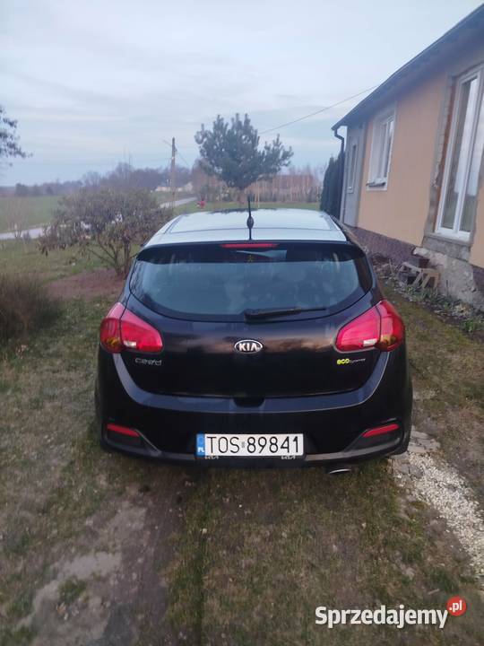 Kia ceed doinwestowany świętokrzyskie Garbacz