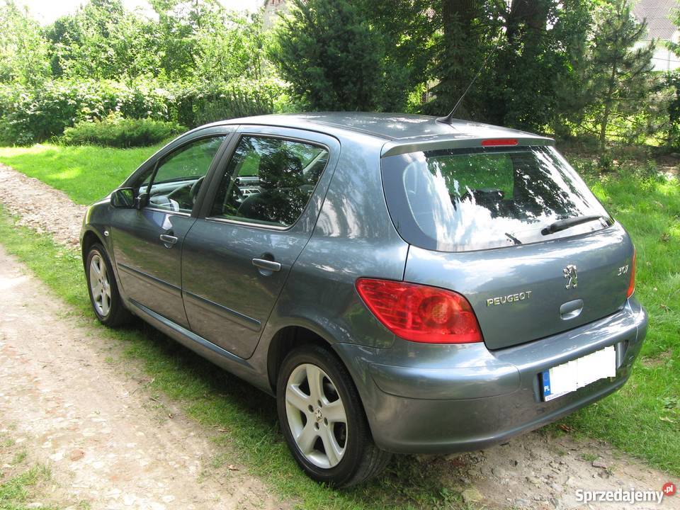 Peugeot 307 LIFT bogata wersja 20 benzyna 143 96 lubelskie Kazimierz Dolny