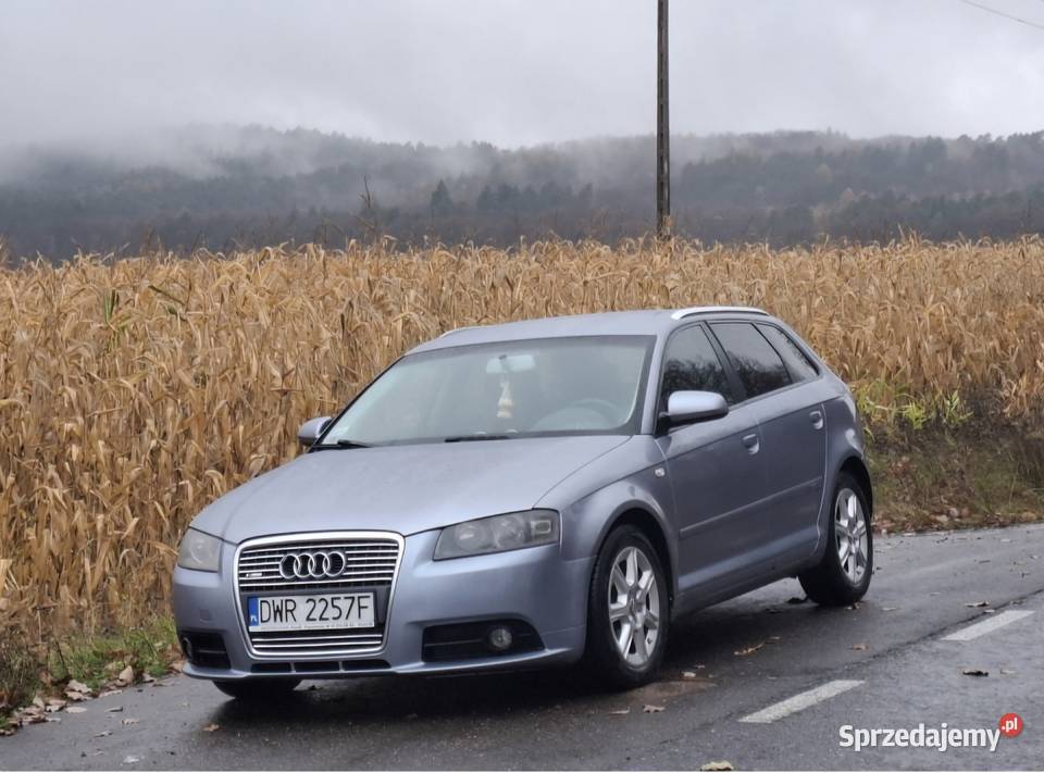 Audi a3 8p sportback 2004 20 342000km Sobótka