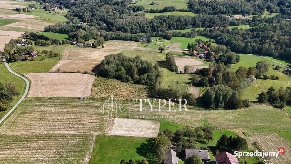 Działka Ryglice 45 arów małopolskie