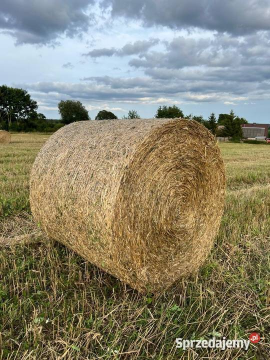 Słoma siano Czarna Dąbrówka