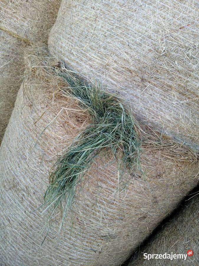 Sprzedam siano Brudzewice