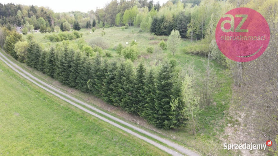 6 działek budowlanych w Stróżówce 24a Stróżówka