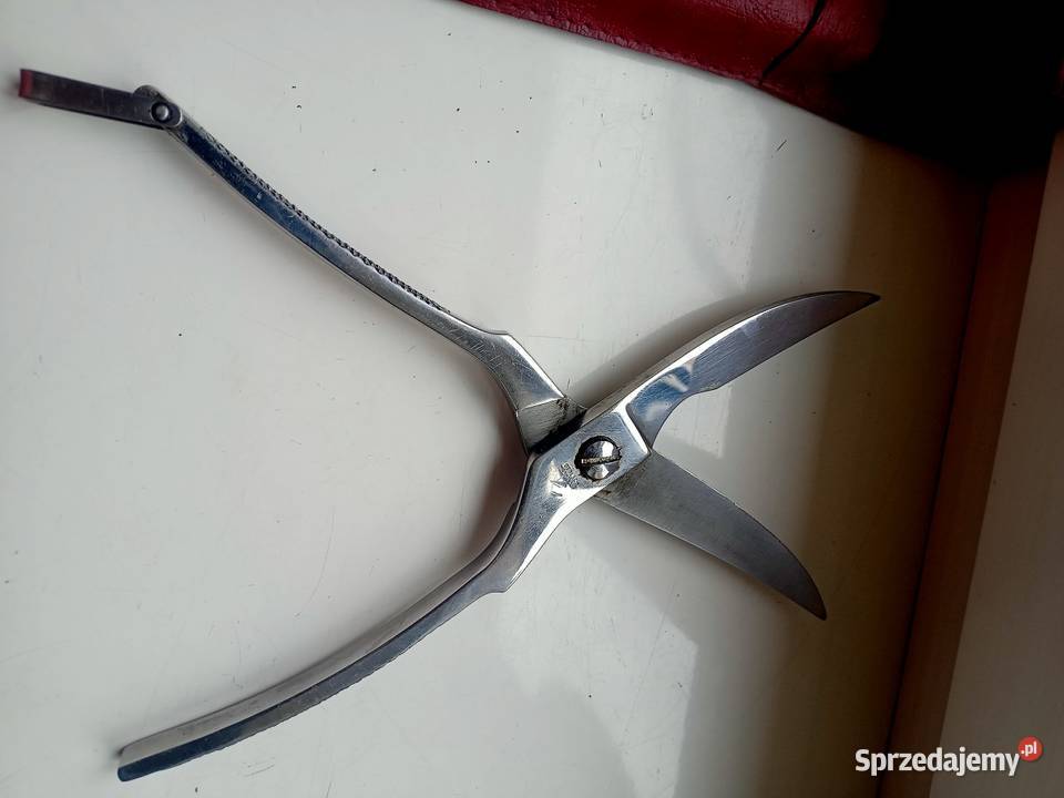 Nozyce do mięsa Gerlach Ostrów Wielkopolski