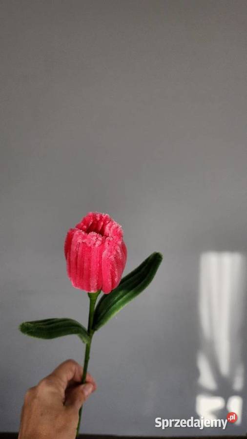 Tulipany z wyciorów 7 sztukę Kraków