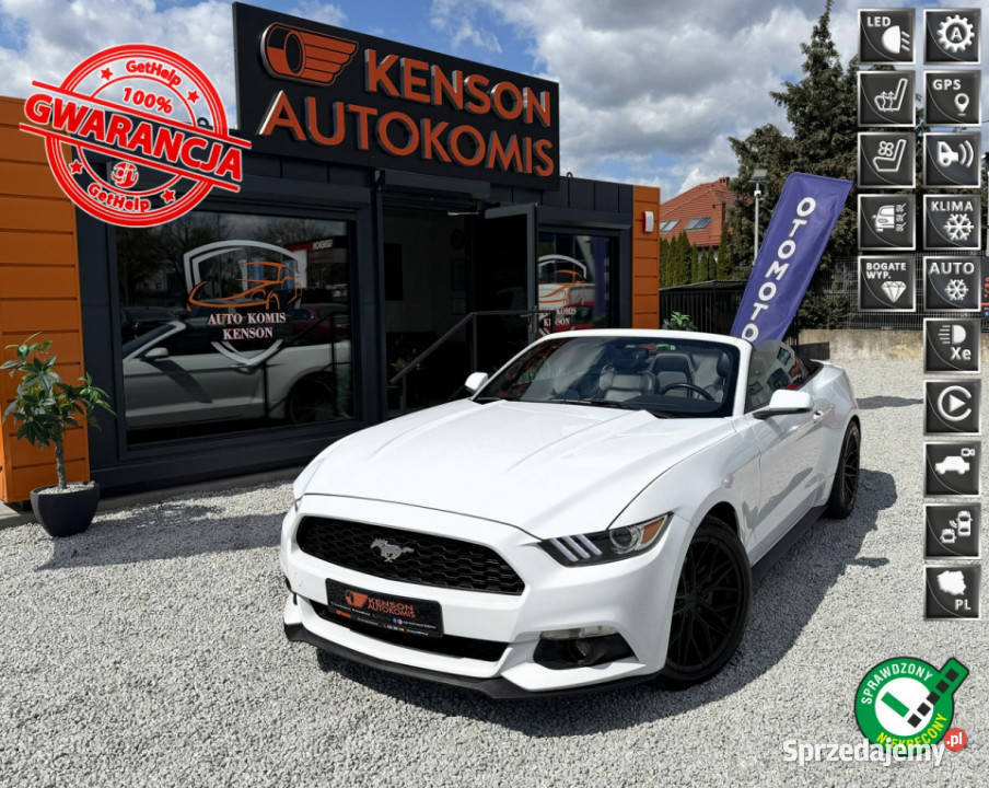 Ford Mustang Skórzana tapicerka Podgrzewane aluminiowe felgi Ford Bydgoszcz