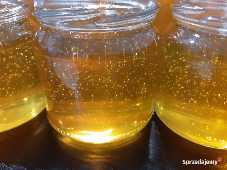 PROPOLIS Kit pszczeli świeżyj Ekologicznyj Warszawa