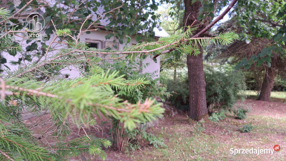 Działka 16000m2 Sobolewo Baranowicka 225m podlaskie