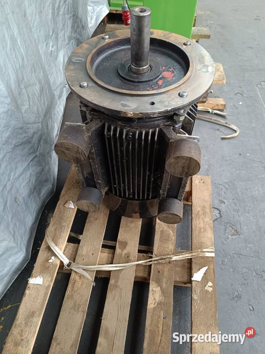 Silnik elektryczny na łapach Hoyer HMC2 160L4 Bydgoszcz
