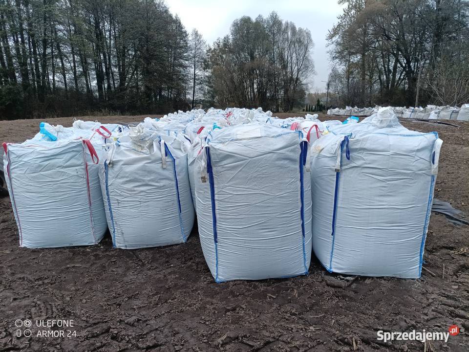 Kukurydza ccm podlaskie